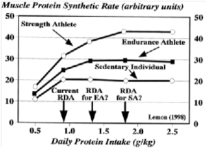 Diagramme - Prise optimale de protéine